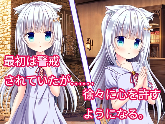 【エロ同人】[ソフトM向け]猫少女シロとの共依存性活のトップ画像